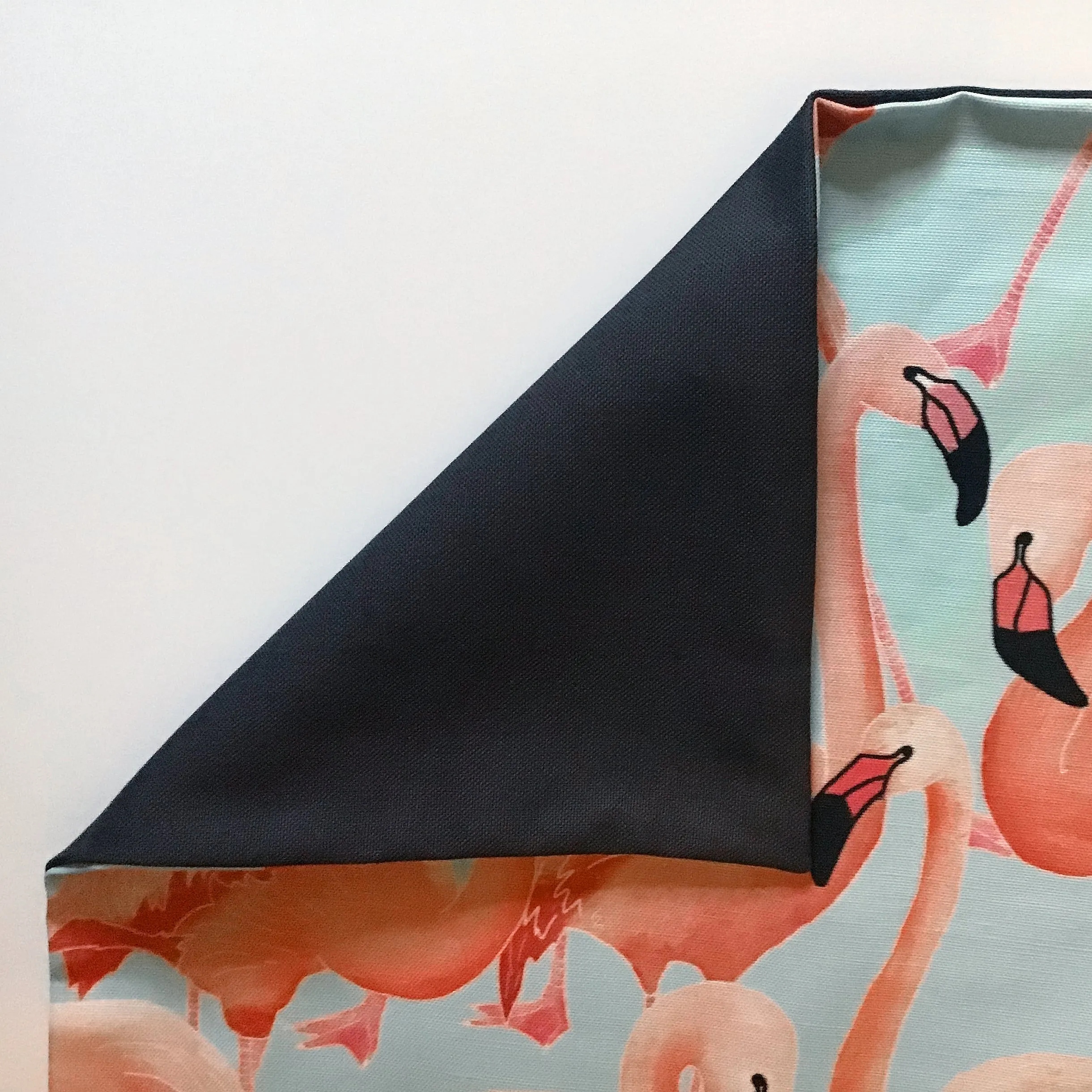 Flamingos
